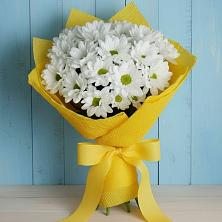 Букет цветов из:  Хризантемы в Новороссийске