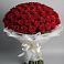 101 Красная роза Блэк Мэджик в Новороссийске Букет 101 Красная роза Блэк Мэджик в Новороссийске