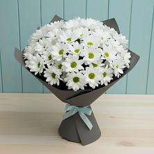 Букет белые хризантемы в Новороссийске Букет цветов из:  Хризантемы в Новороссийске