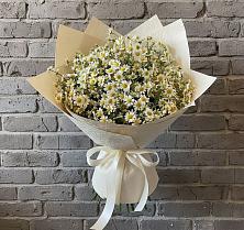 Букет Кустики радости #REPLACE_PRED# Новороссийске Букет цветов из:  Ромашки #REPLACE_PRED# Новороссийске