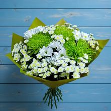 Букет скромность  #REPLACE_PRED# Новороссийске Букет цветов из:  Хризантемы #REPLACE_PRED# Новороссийске