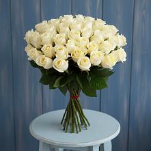 51 Белая роза Эдлесс Лав в Новороссийске Букет 51 Белая роза Эдлесс Лав в Новороссийске