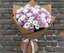 Букет цветов из:  Хризантемы #REPLACE_PRED# Новороссийске