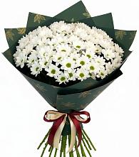 Букет море ромашек #REPLACE_PRED# Новороссийске Букет цветов из:  Хризантемы #REPLACE_PRED# Новороссийске