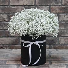 Композиция коробка гипсофил в Новороссийске Цветочная композиция из Гипсофила в шляпной коробке в Новороссийске