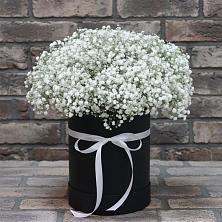 Цветочная композиция из Гипсофила в шляпной коробке в Новороссийске