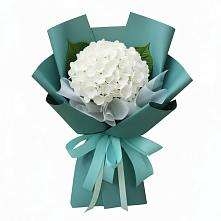 Букет Лёгкое облако в Новороссийске Букет цветов из:  Гортензия в Новороссийске